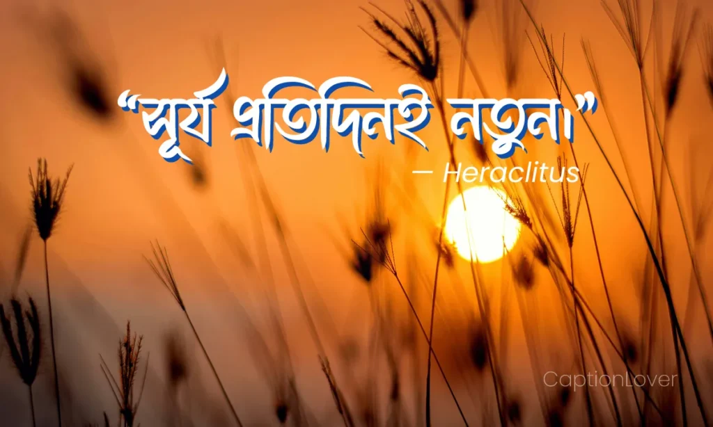 সকাল নিয়ে ইসলামিক স্ট্যাটাস