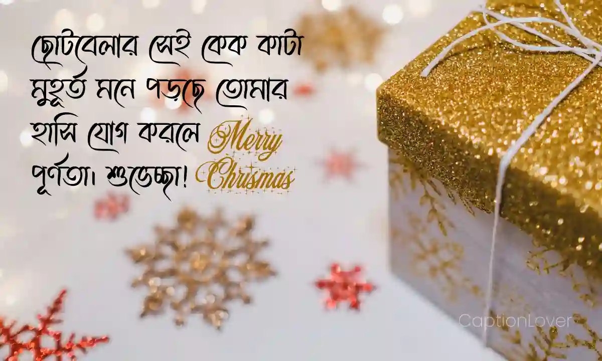 বড়দিনের শুভেচ্ছা পিকচার