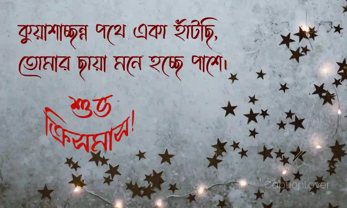 ক্রিসমাস পিকচার