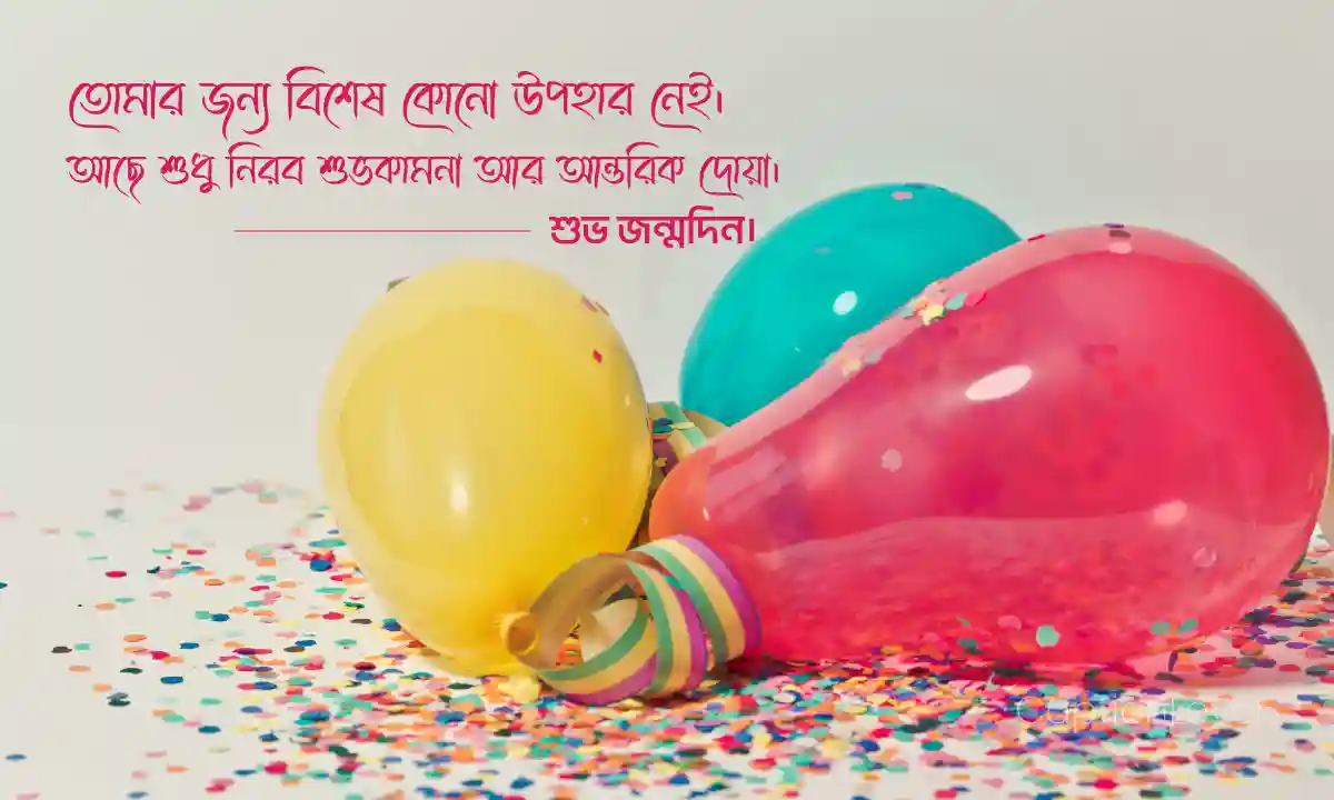 জন্মদিনের শুভেচ্ছা বার্তা