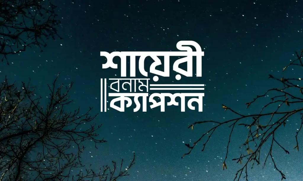 শাইরি বনাম ক্যাপশন