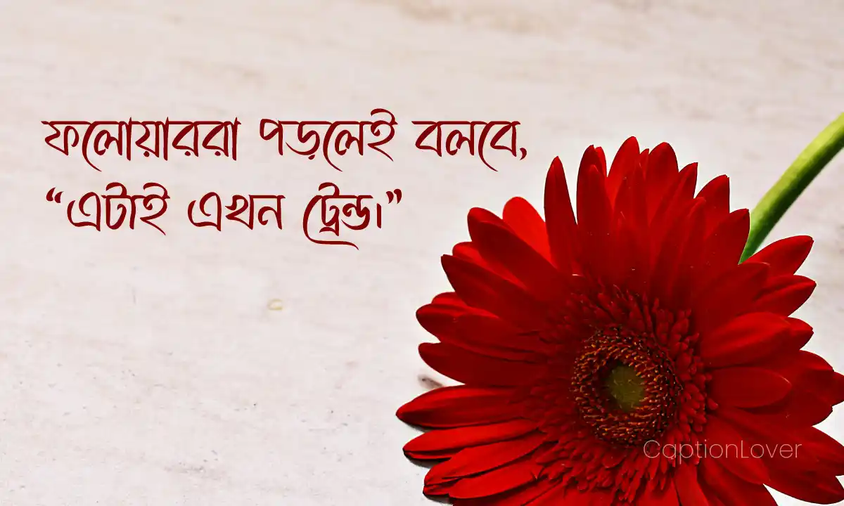 trending-facebook-status ট্রেন্ডিং ফেসবুক স্ট্যাটাস