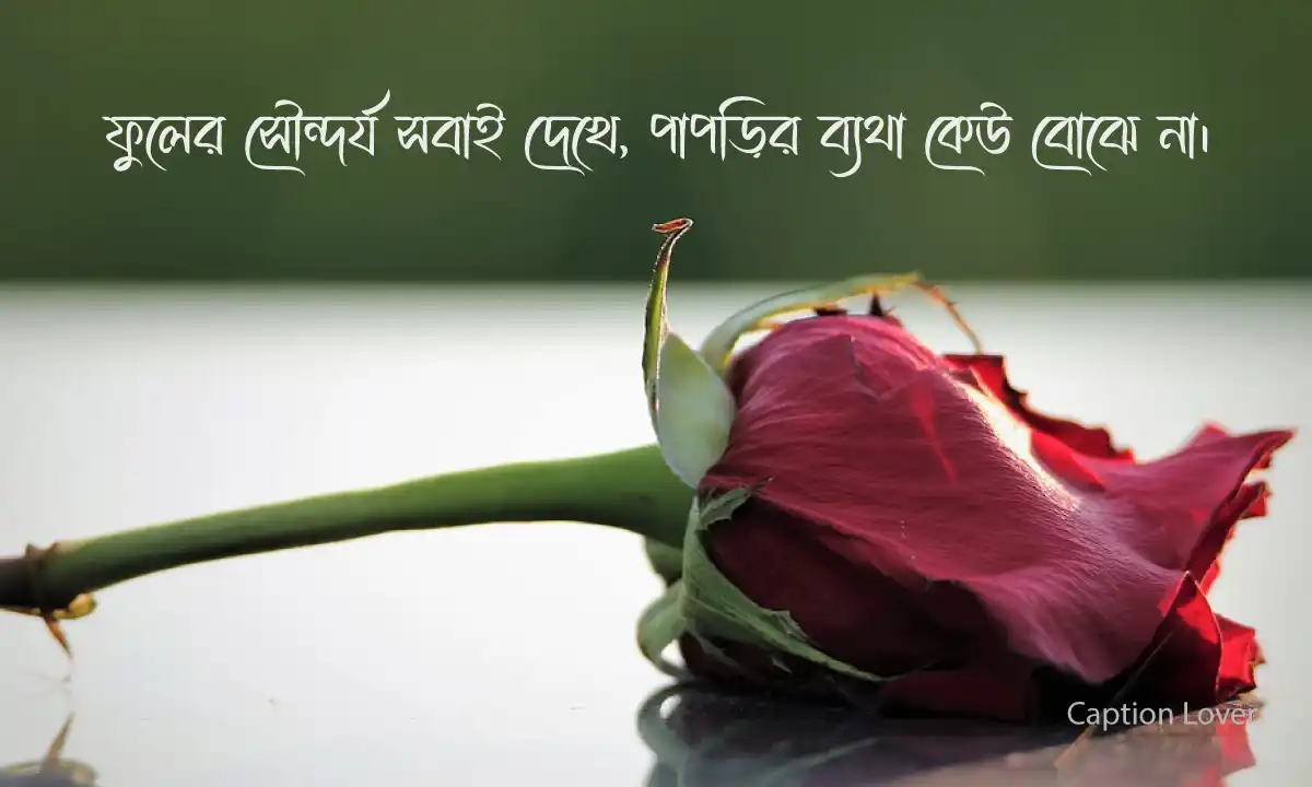 Ful-niye-koster-caption ফুল নিয়ে কষ্টের ক্যাপশন