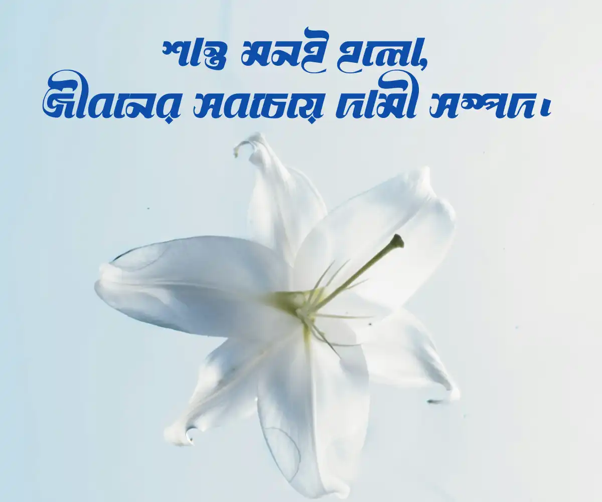 bangla-caption বাংলা ক্যাপশন bangla caption emotional image