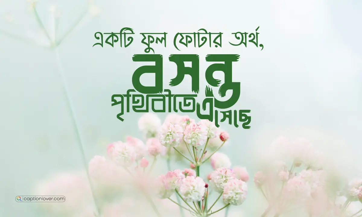 বসন্তের রোমান্টিক স্ট্যাটাস