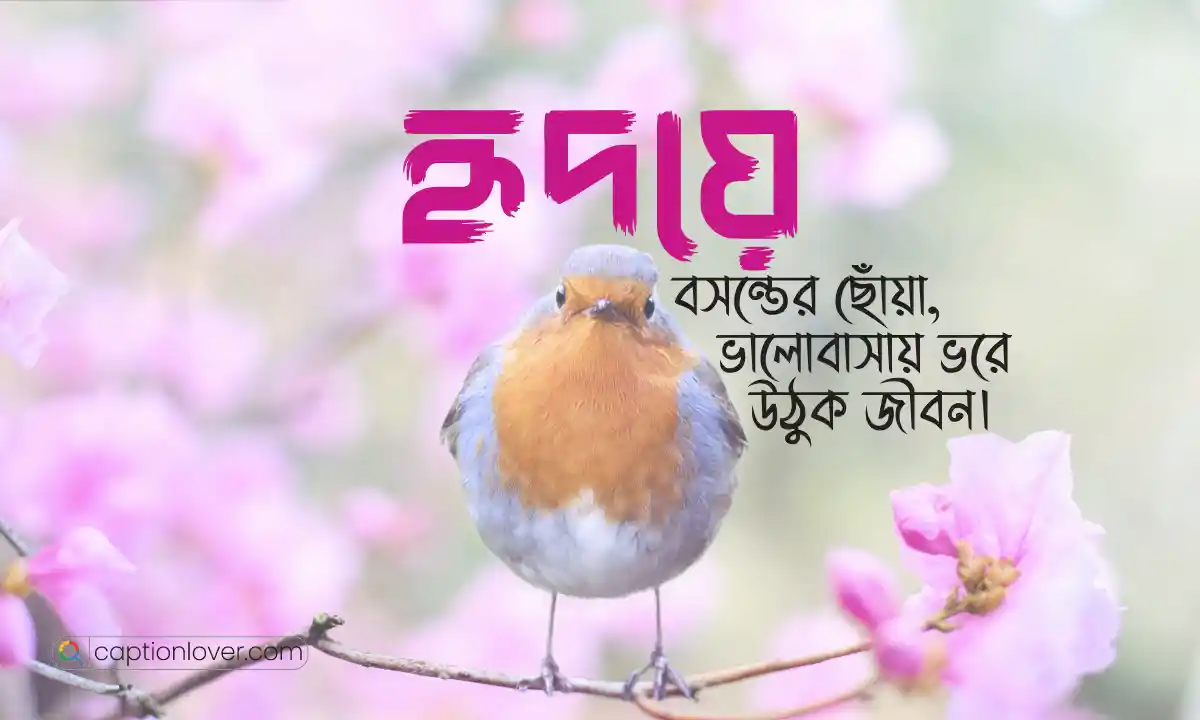 বসন্তের শুভেচ্ছা ক্যাপশন