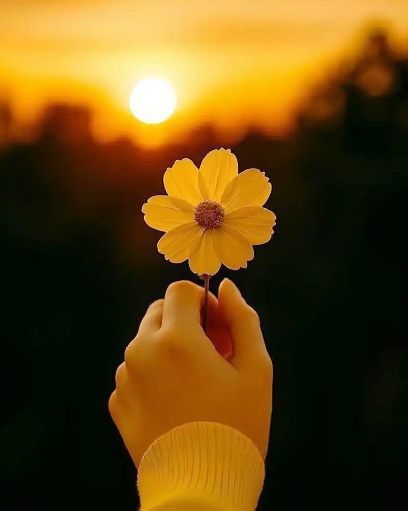 মেয়েদের জন্য ক্যাজুয়াল প্রোফাইল ছবি: বই পড়তে পড়তে তরুণী