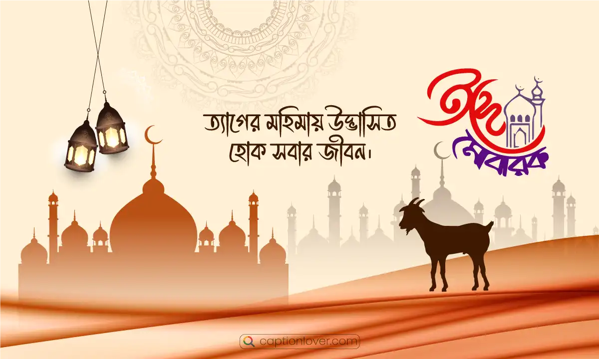 ঈদুল আযহার শুভেচ্ছা ২০২৬ ও কুরবানি ঈদের স্ট্যাটাস
