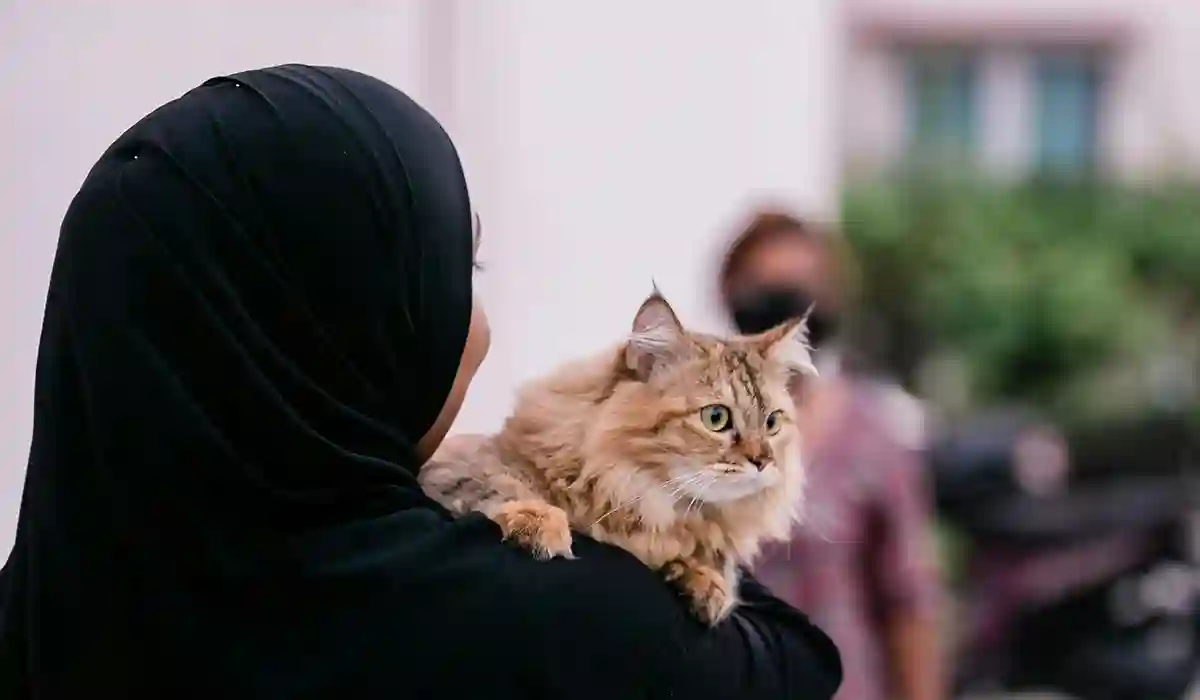 মেয়েদের প্রোফাইল পিক -25