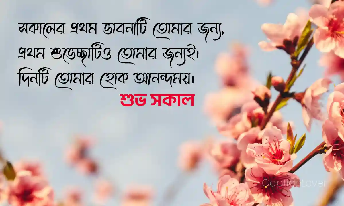 শুভ সকাল শুভেচ্ছা বার্তা