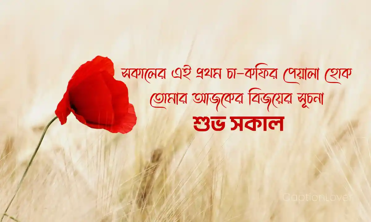 শুভ সকাল স্ট্যাটাস