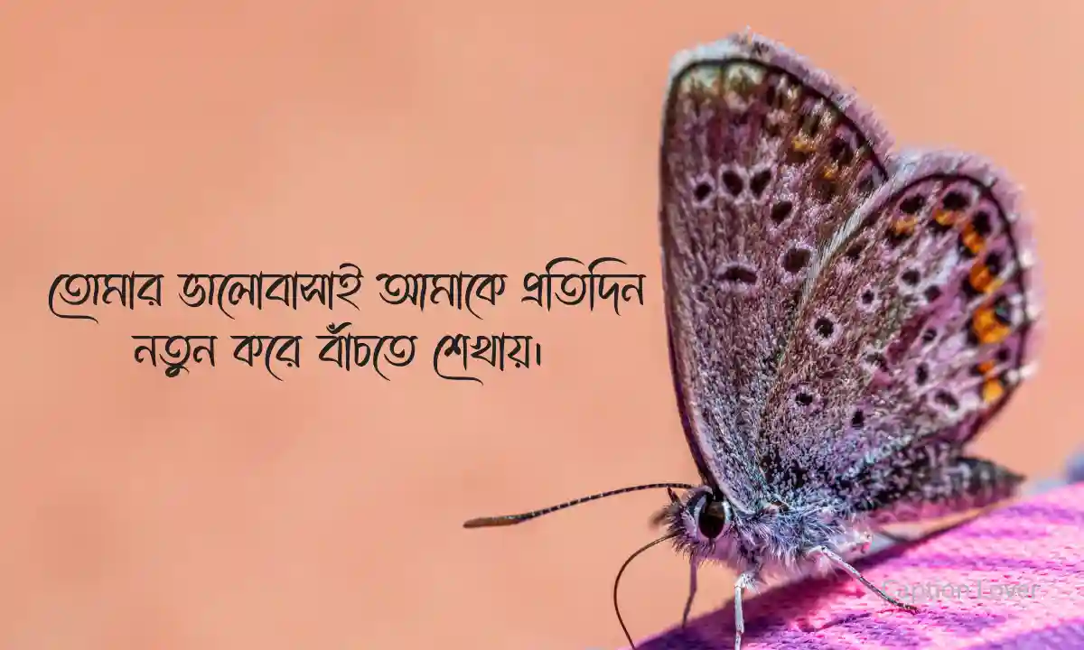 শুভ ভালোবাসা দিবস