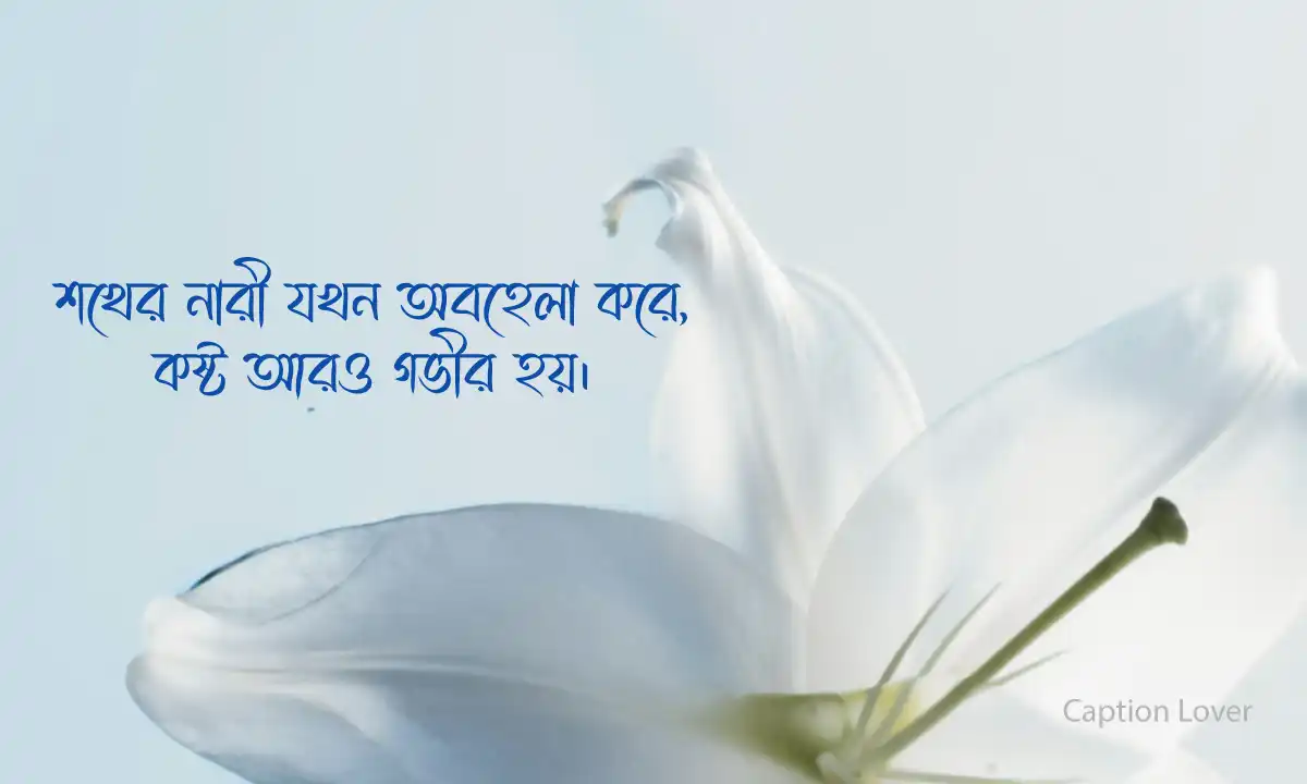 sokher-nari-koster-caption sokher narir koster caption