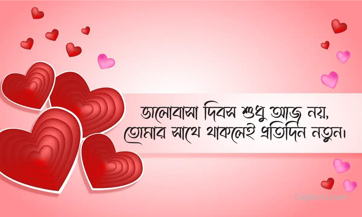 ভালোবাসার মেসেজ স্বামীকে