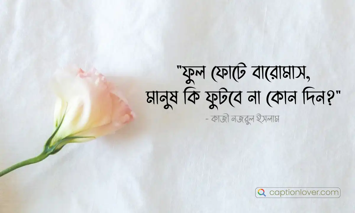 বিখ্যাত মনিষীদের চোখে ফুল নিয়ে উক্তি ও বাণী