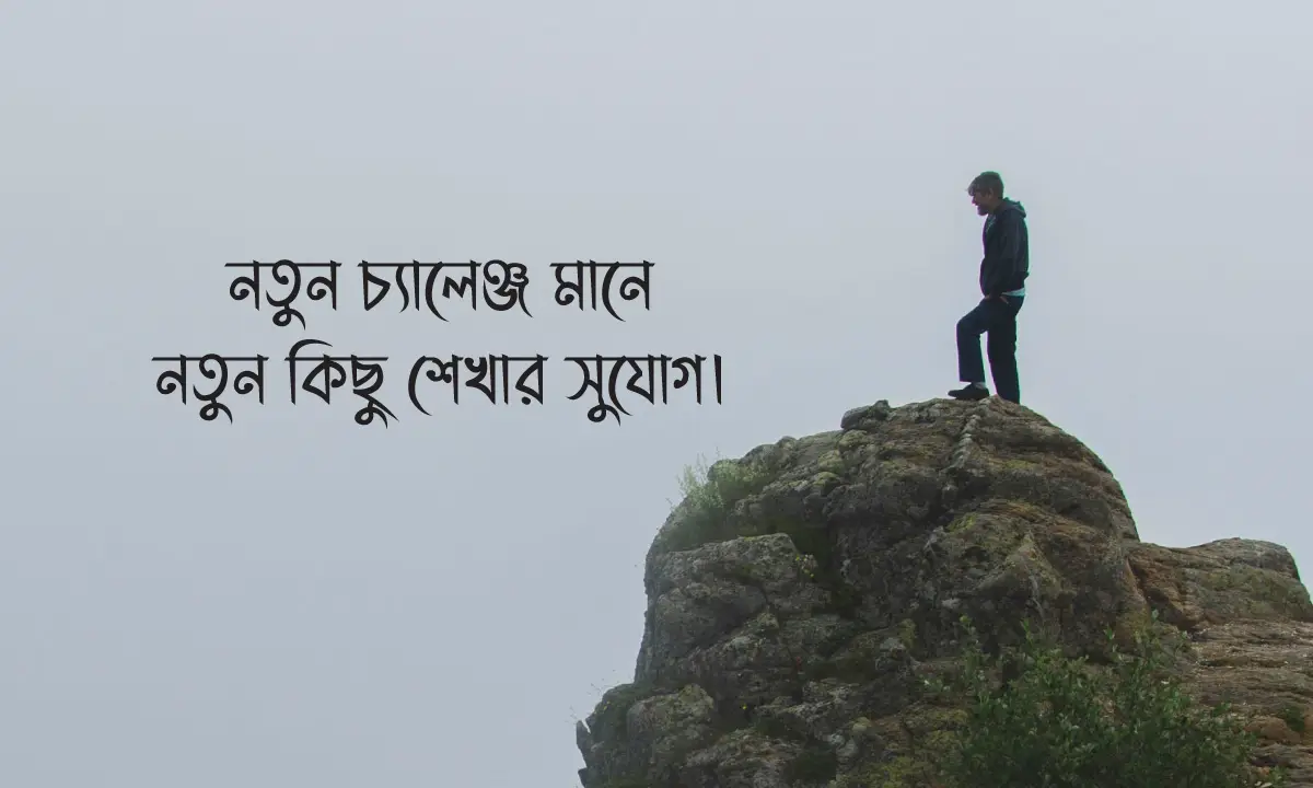 নিজের ক্যারিয়ার নিয়ে স্ট্যাটাস এবং উক্তি সম্বলিত ২০২৬ সালের সেরা কালেকশন