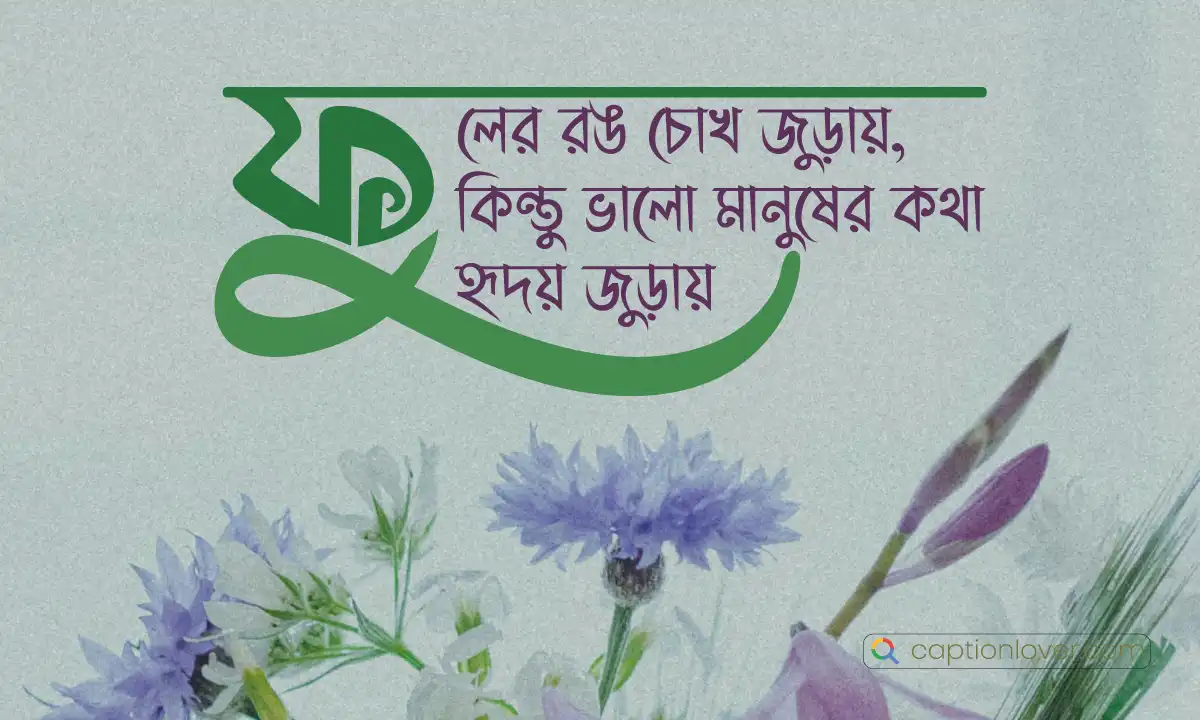 একগুচ্ছ সুন্দর ফুল যা ফুলের ক্যাপশন এবং উক্তি আর্টিকেলের প্রতিনিধিত্ব করছে