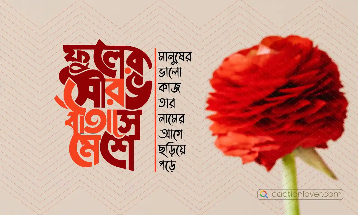 একটি প্রস্ফুটিত ফুল হাতে একজন মানুষ যা জীবনের নশ্বরতা ও সৌন্দর্যকে ফুটিয়ে তুলছে