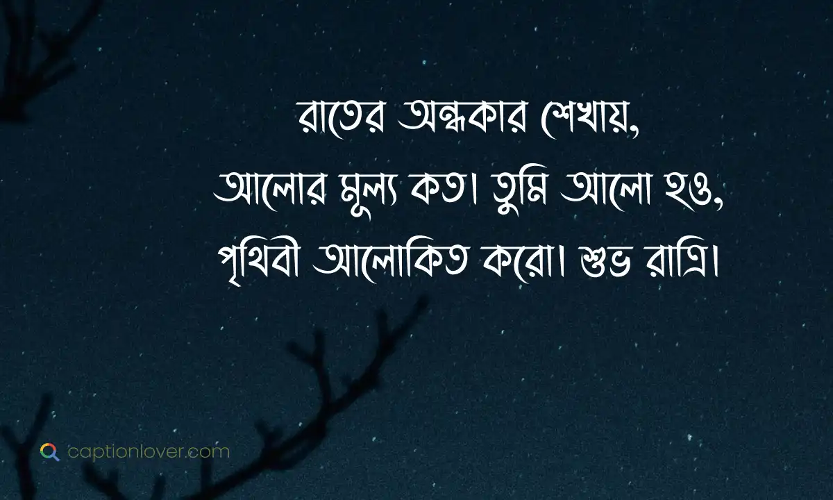 চাঁদের আলোয় শুভ রাত্রি ক্যাপশন