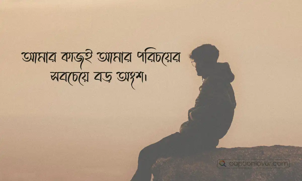 আমার বর্তমান ক্যারিয়ার স্ট্যাটাস এবং কাজের অগ্রগতির একটি ছবি।