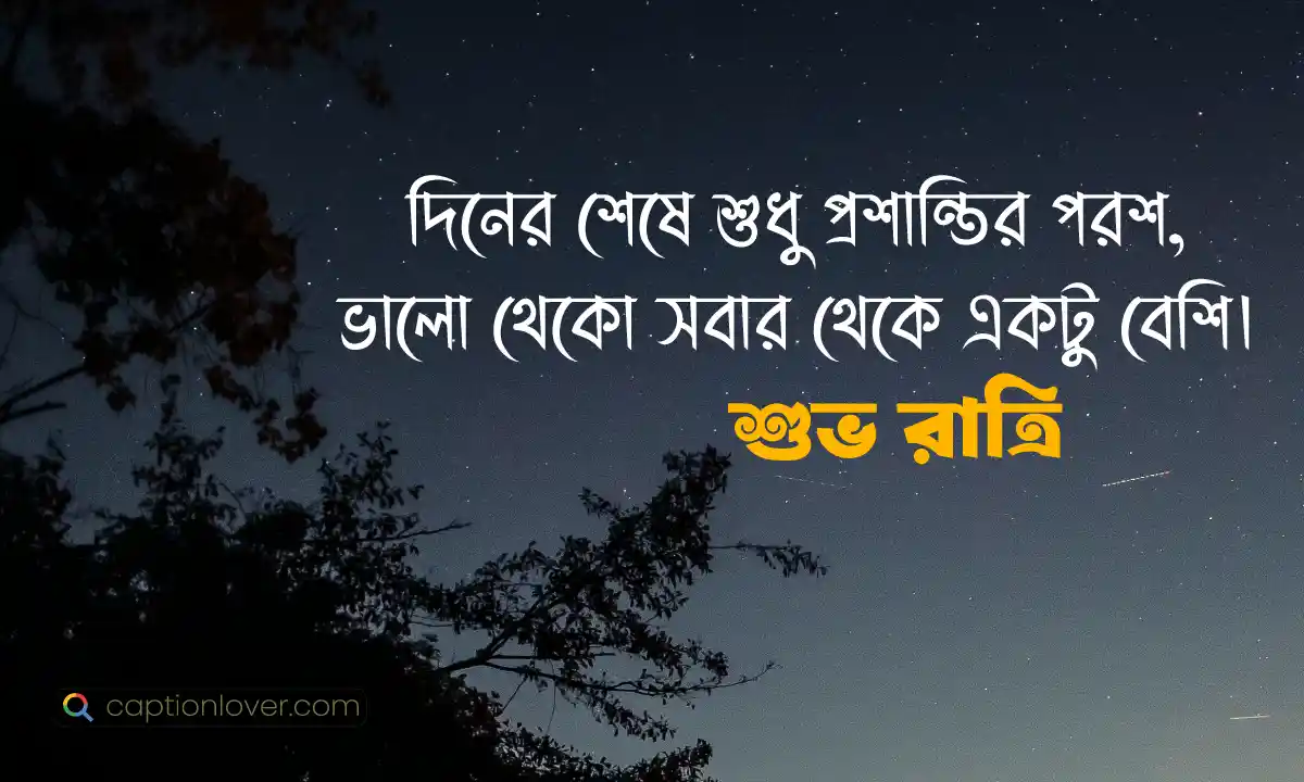 রোমান্টিক শুভ রাত্রি মেসেজ প্রিয়তমার জন্য