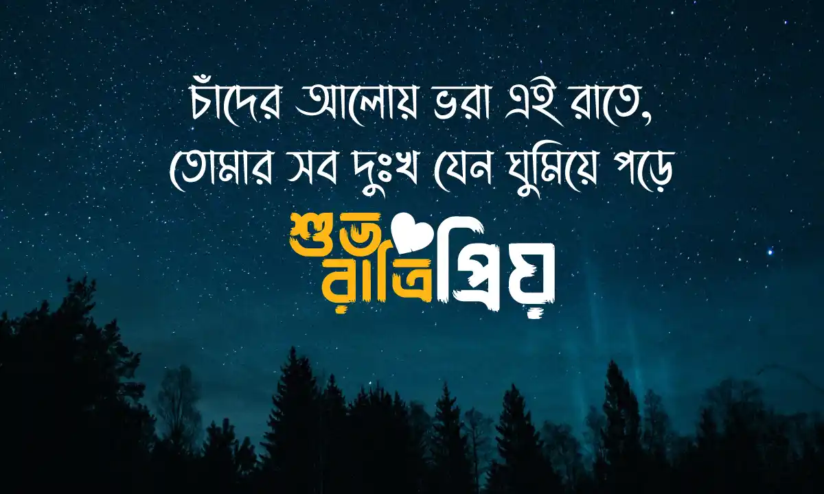 শুভ রাত্রি শুভেচ্ছা বার্তা