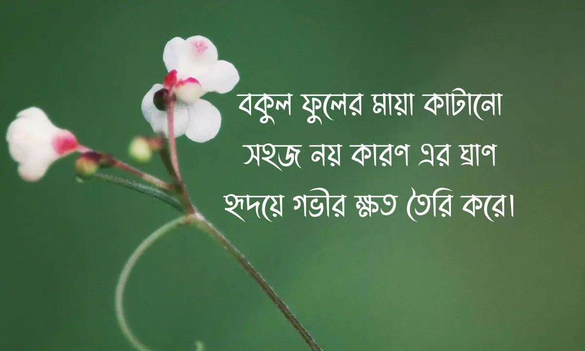 বকুল ফুল নিয়ে ক্যাপশন, স্ট্যাটাস