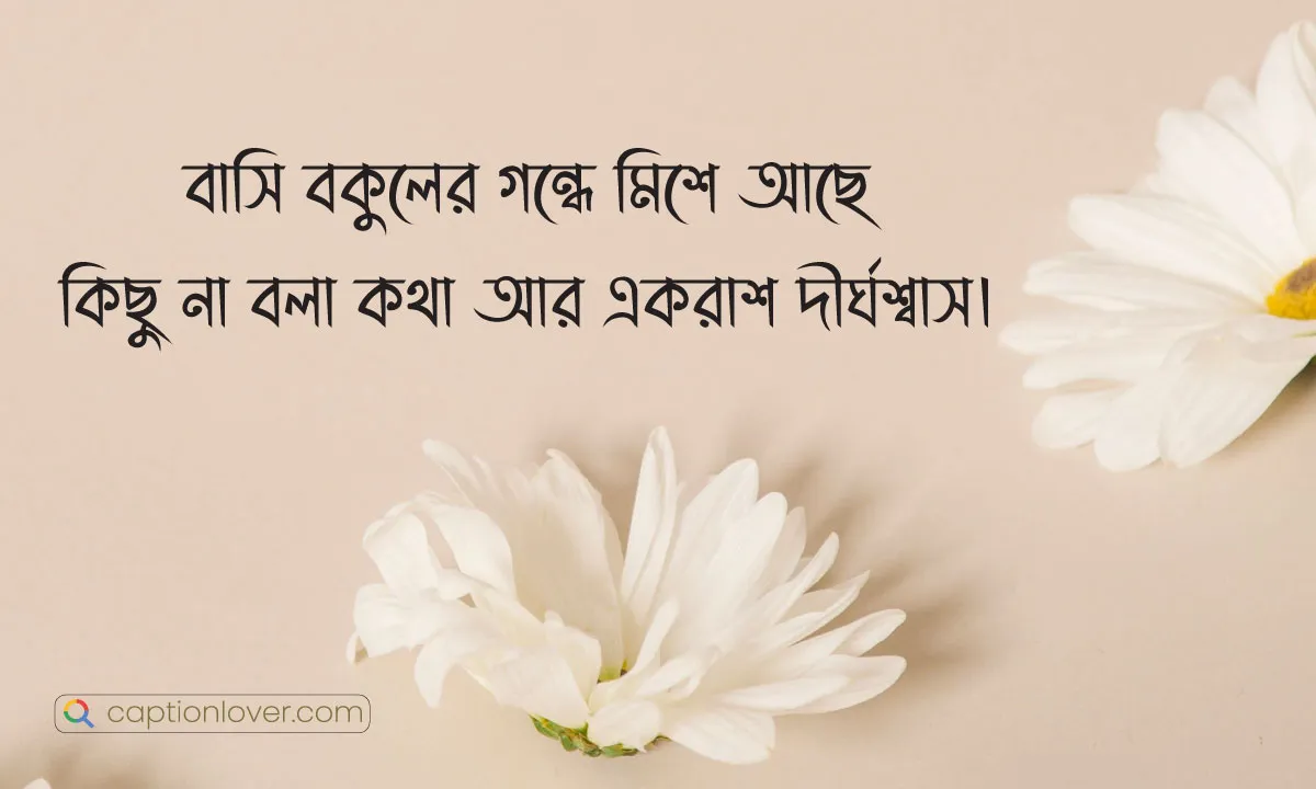 বকুল ফুল নিয়ে স্ট্যাটাস