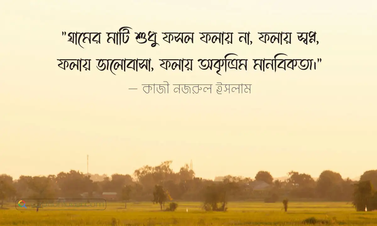 গ্রাম নিয়ে উক্তি